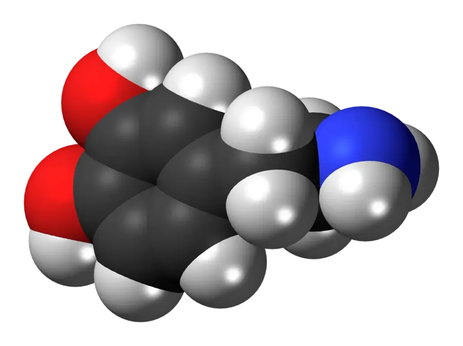 The Dopamine card