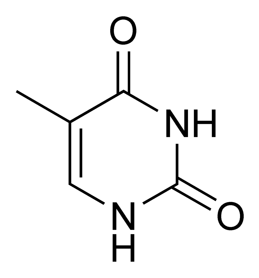 The Thymine card