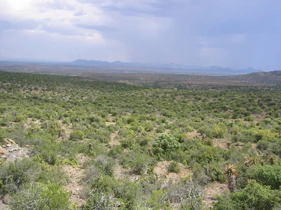 The Karoo National Park card
