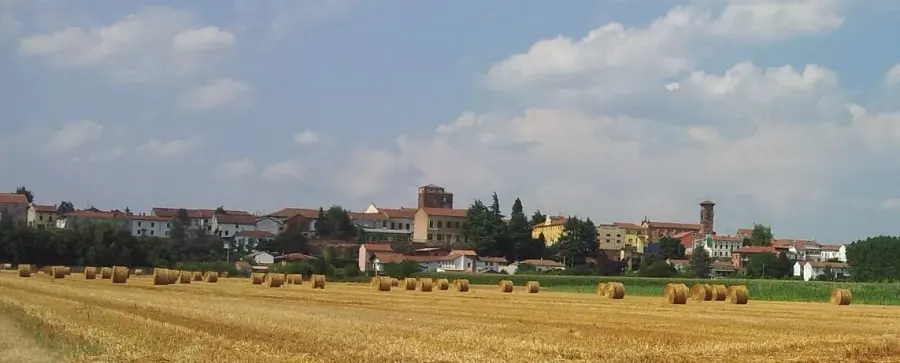 La carte Felizzano