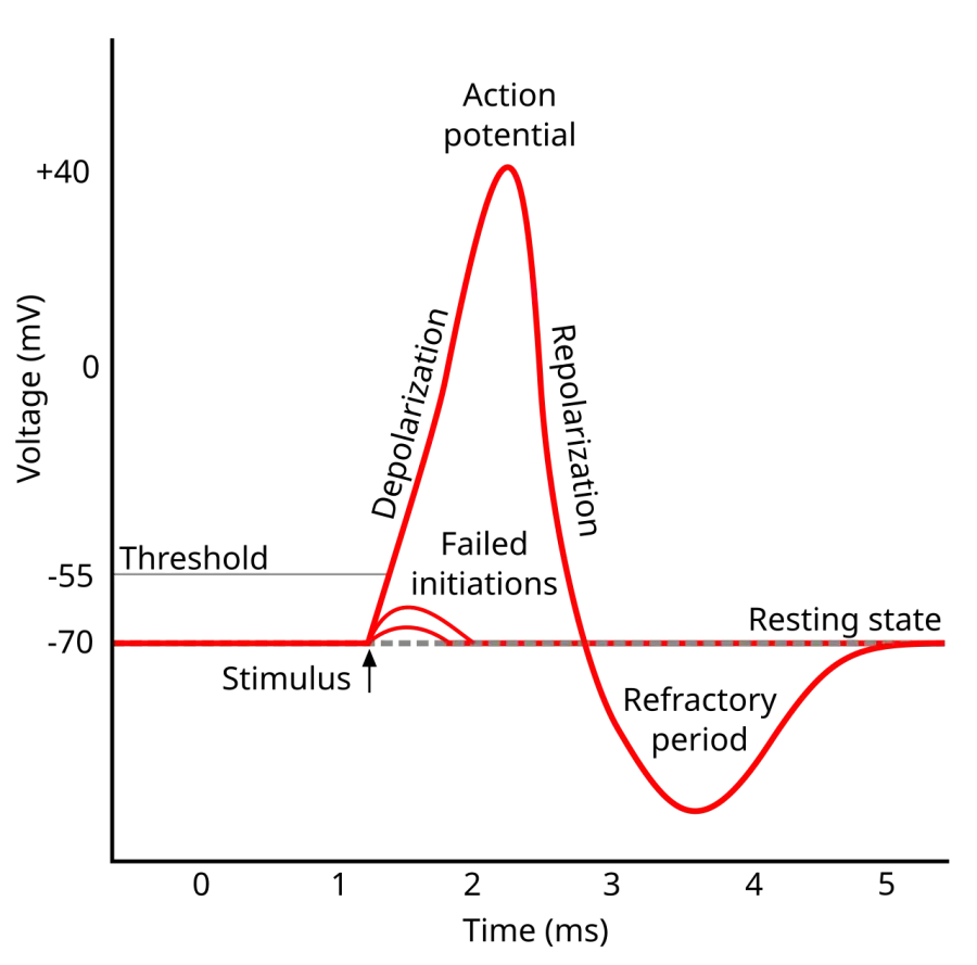 The Refractory period card