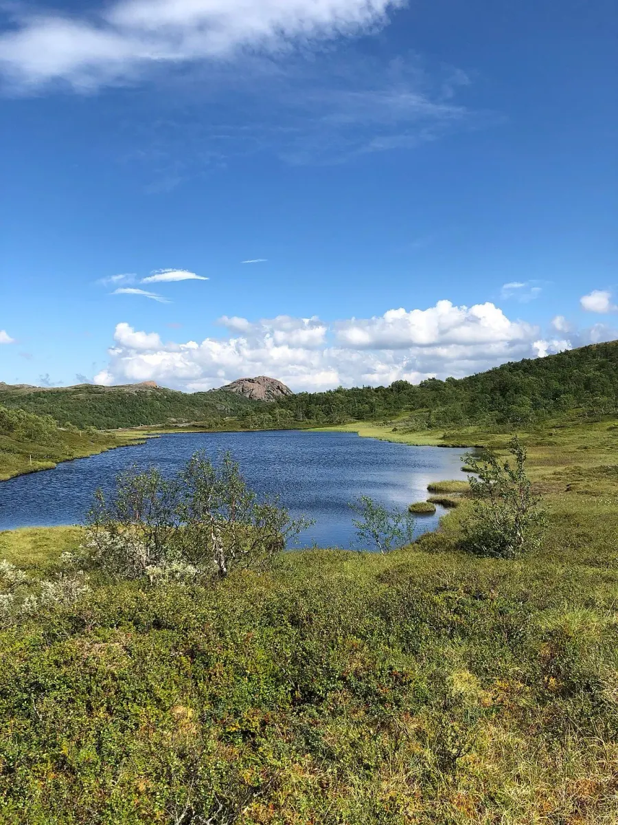 The Lierne National Park card