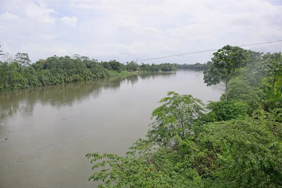 The Sixaola River card