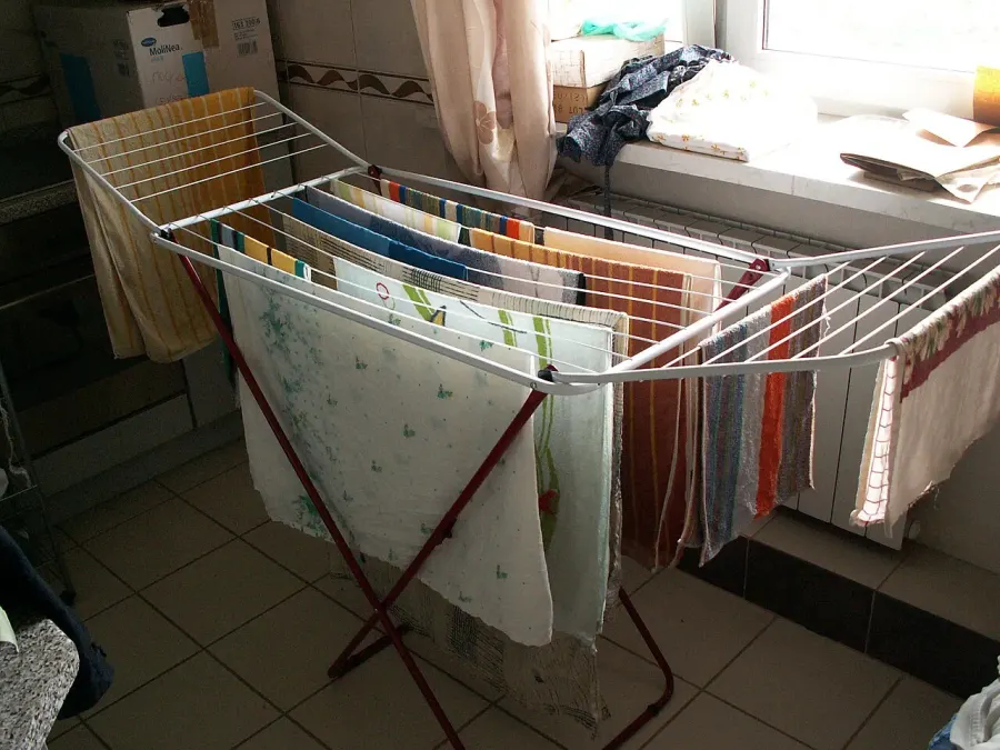 The Clothes horse card