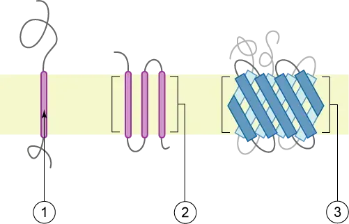 La carte Protéine membranaire intégrale