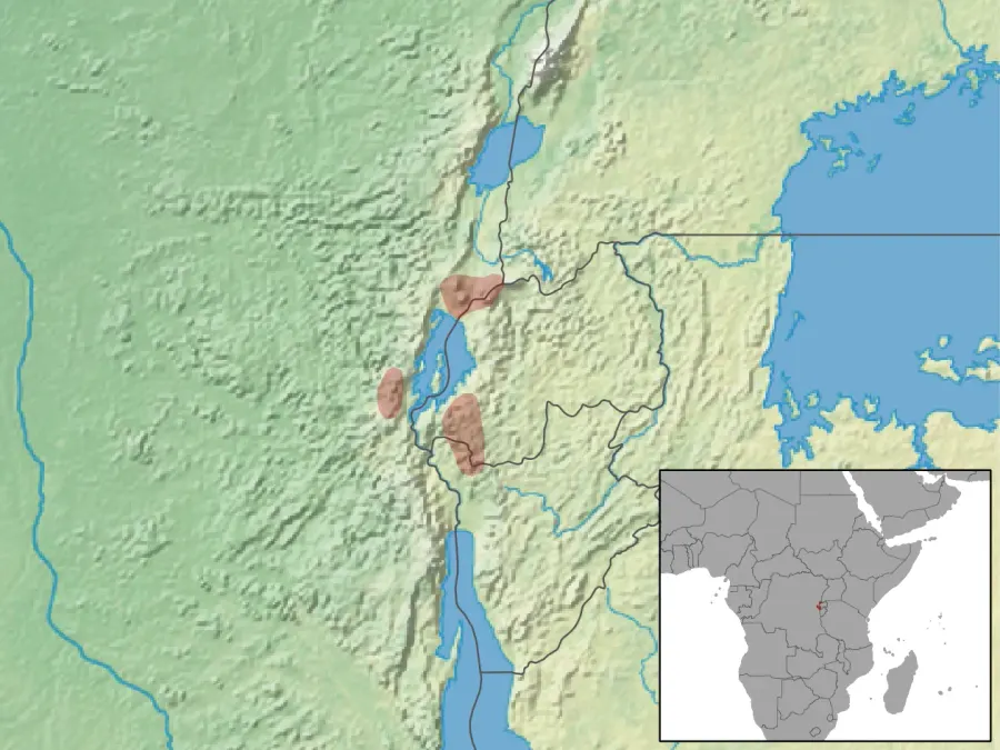 La carte Thamnomys kempi