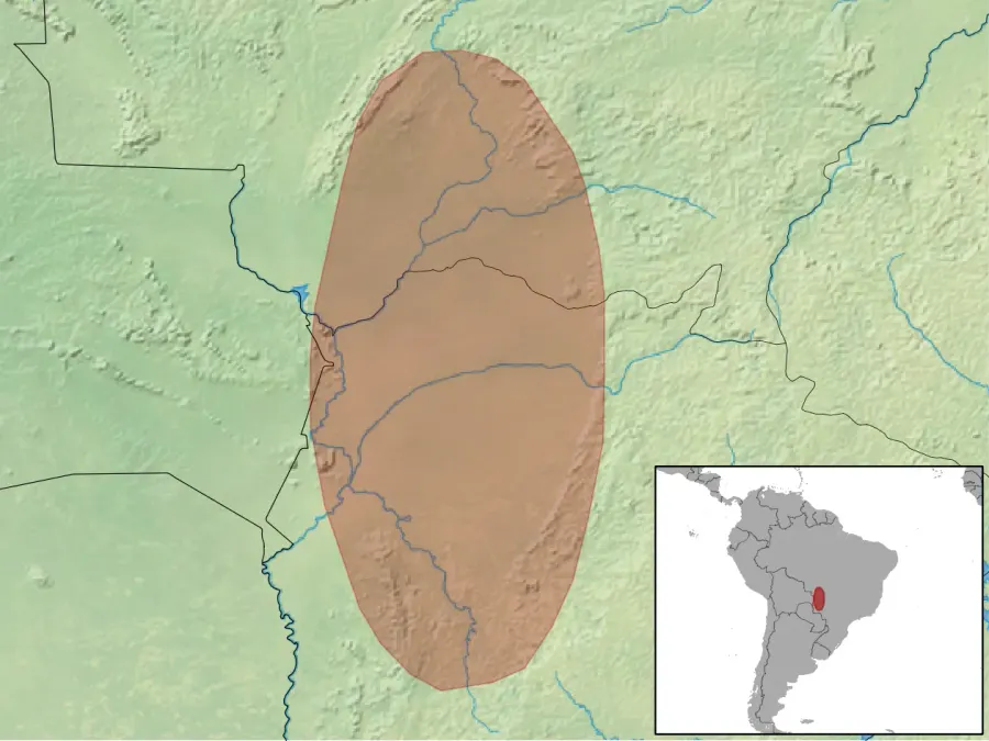La carte Thrichomys pachyurus