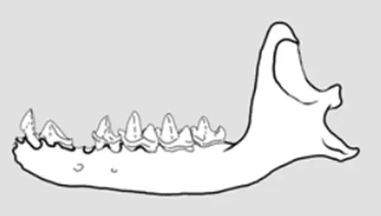 La carte Nesophontes micrus