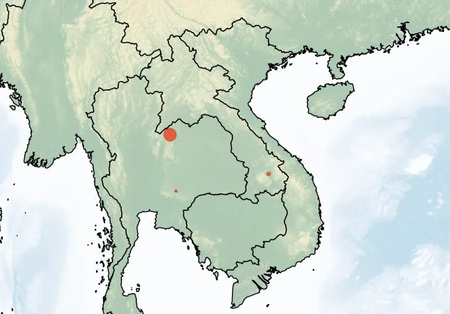 La carte Mus fragilicauda