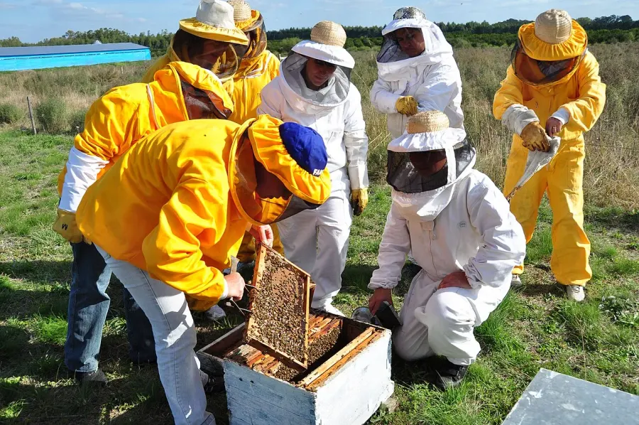 La carte Apiculture