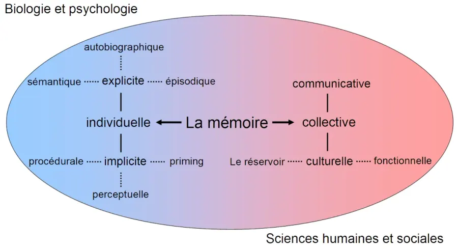 La carte Mémoire