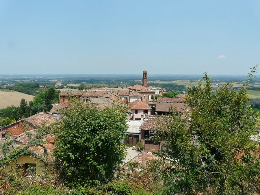 The Pecetto di Valenza card