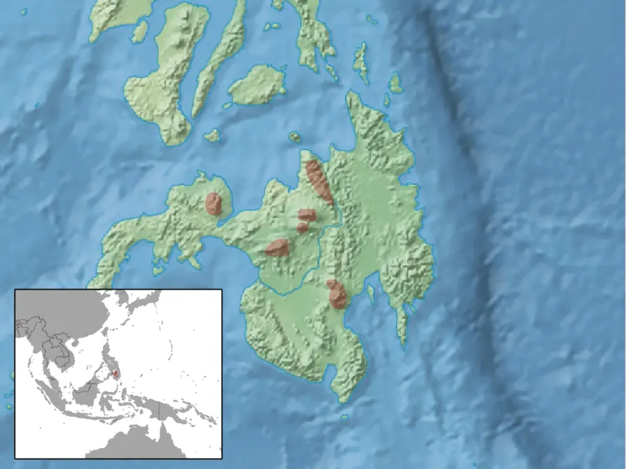 La carte Tarsomys apoensis