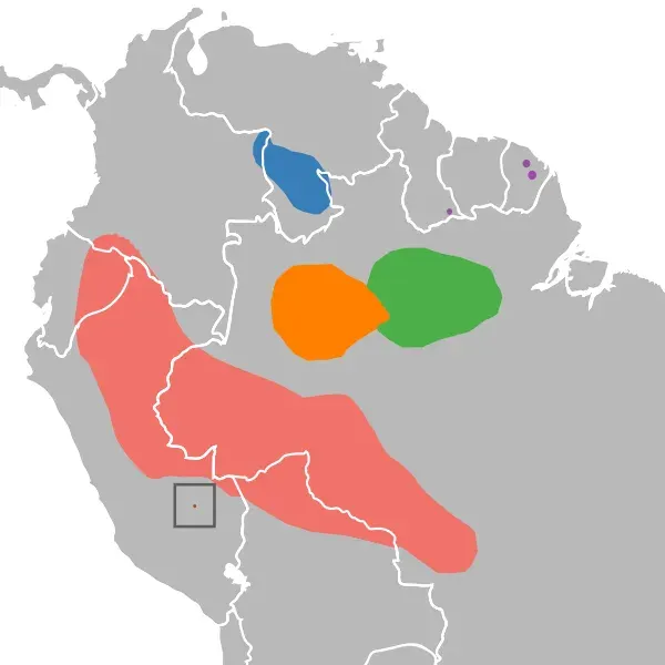 La carte Isothrix sinnamariensis