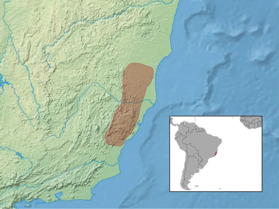 La carte Trinomys paratus