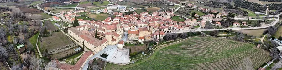 The Santo Domingo de Silos card