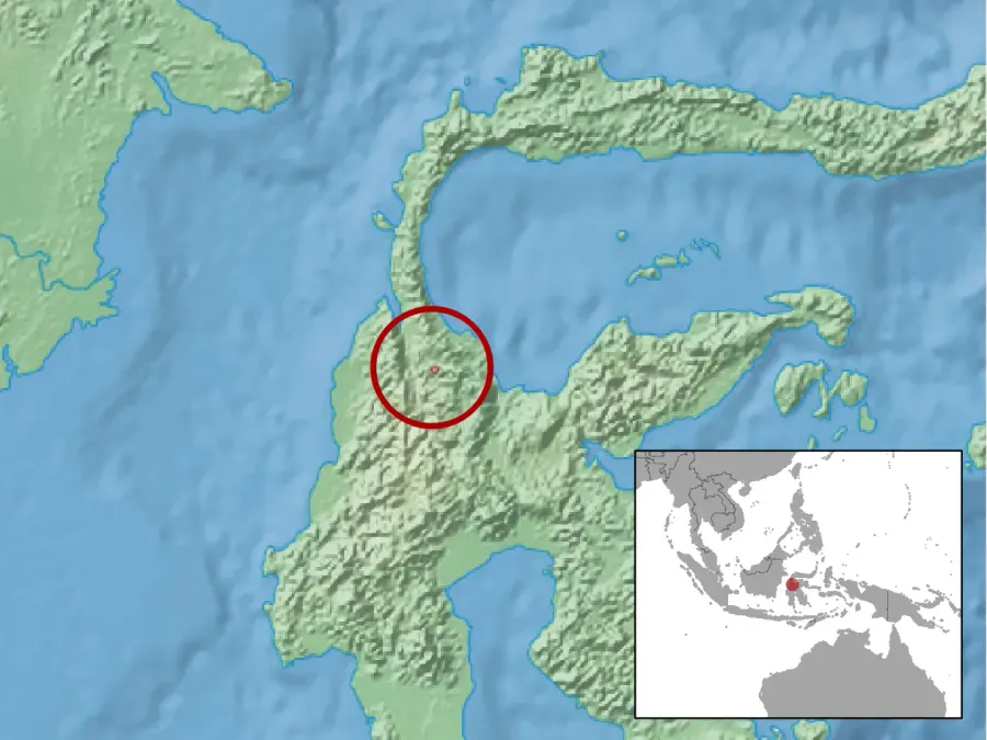 La carte Tateomys macrocercus