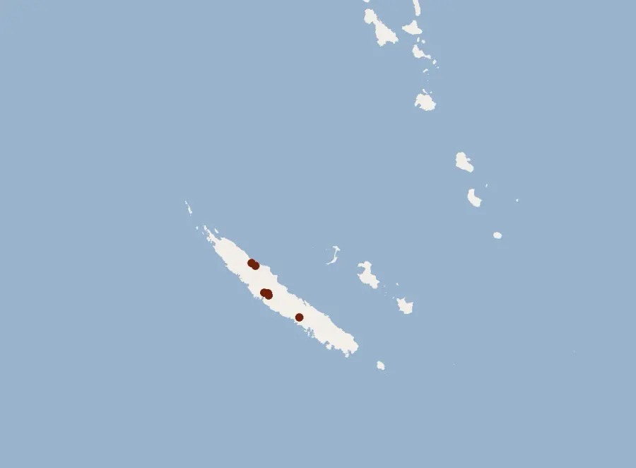 La carte Notopteris neocaledonica