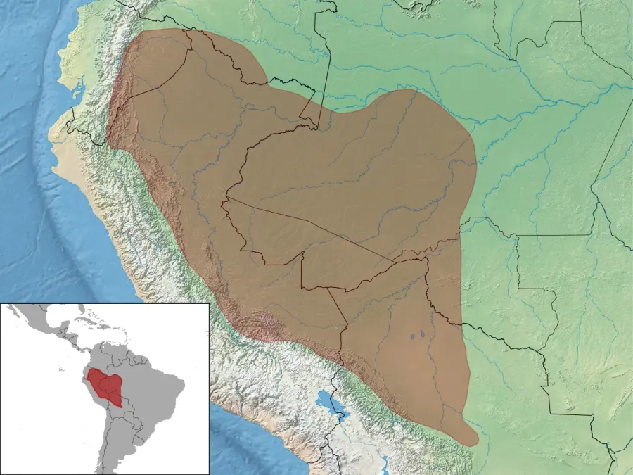 La carte Proechimys simonsi