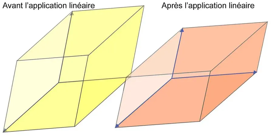 The Diagonalizable matrix card