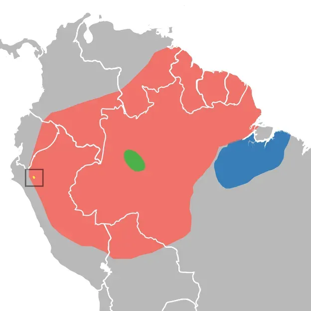 La carte Mesomys stimulax