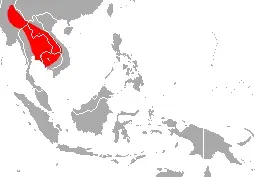 La carte Rhinolophus shameli
