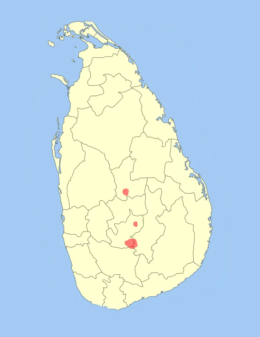 La carte Vandeleuria nolthenii