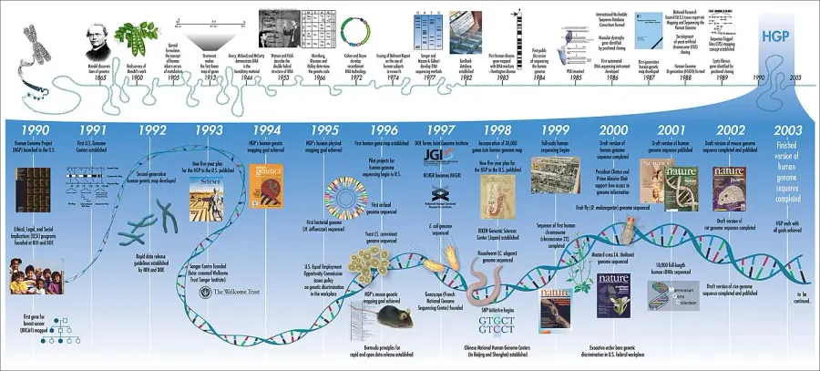 La carte Biologie computationnelle