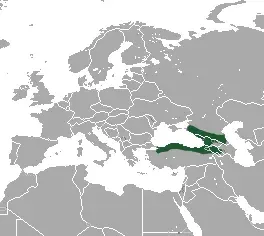 La carte Sorex satunini