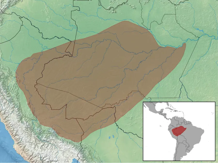 La carte Proechimys steerei