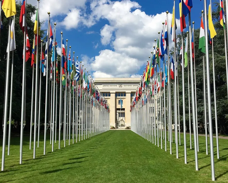 The International community card