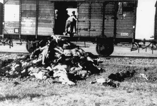La carte Pogrom