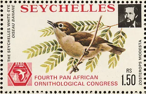 The Seychelles white-eye card