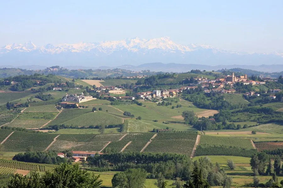 The Castelnuovo Calcea card