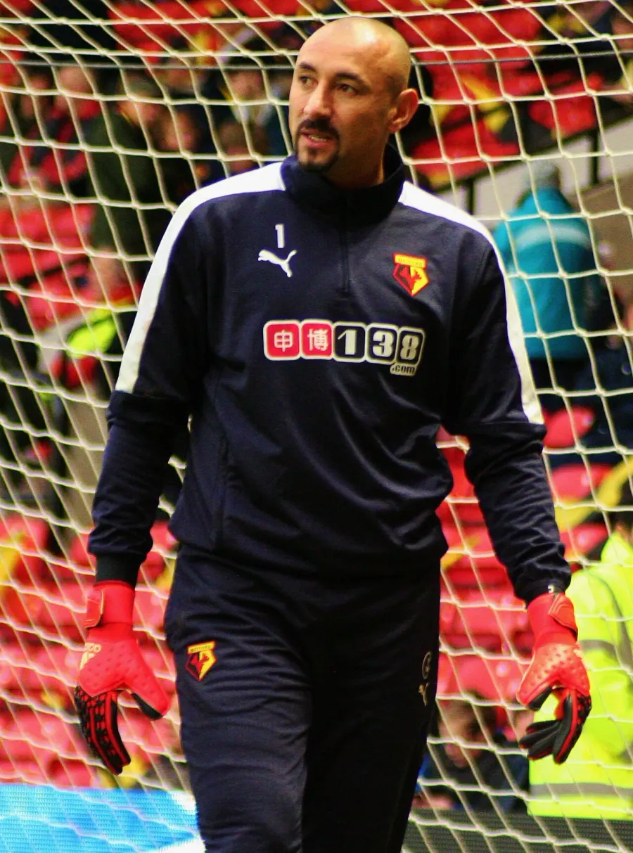 The Heurelho Gomes card