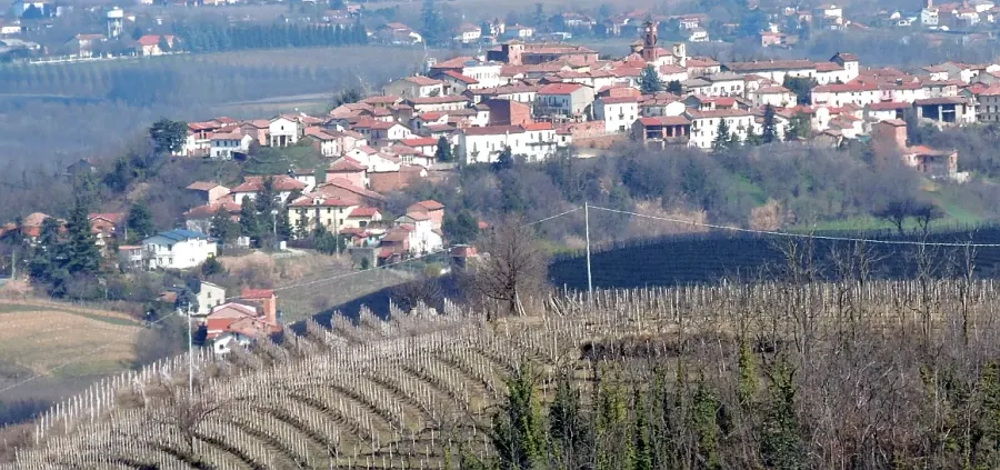 La carte Maranzana
