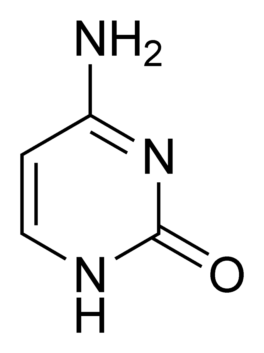 The Cytosine card