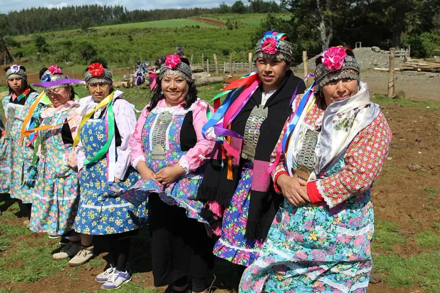 The Mapuche card
