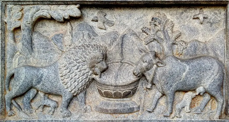 La carte Ahimsa