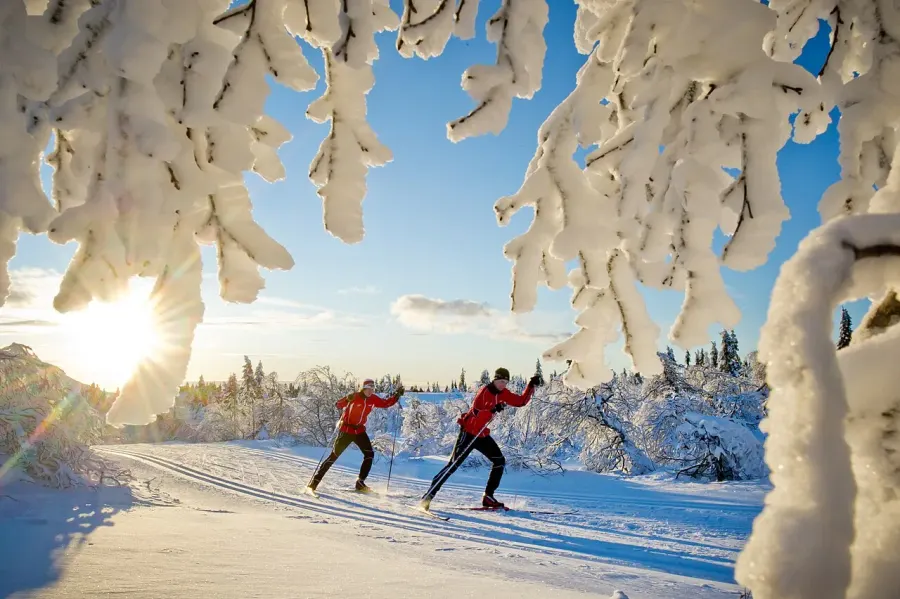 The Cross-country skiing card