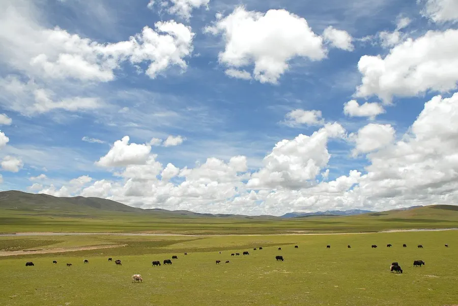 The Tibetan Plateau card