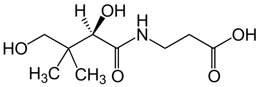La carte Vitamine B5