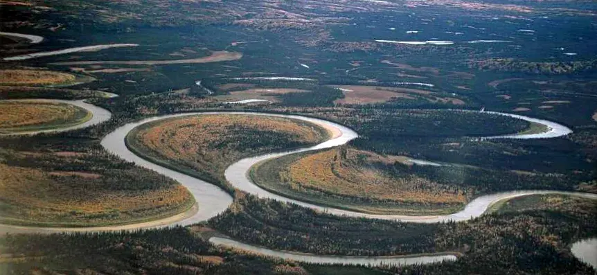 The Meander card