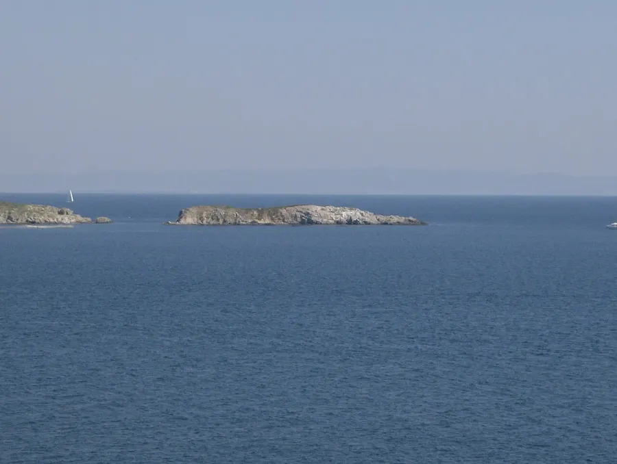 La carte Île Saint-Pierre