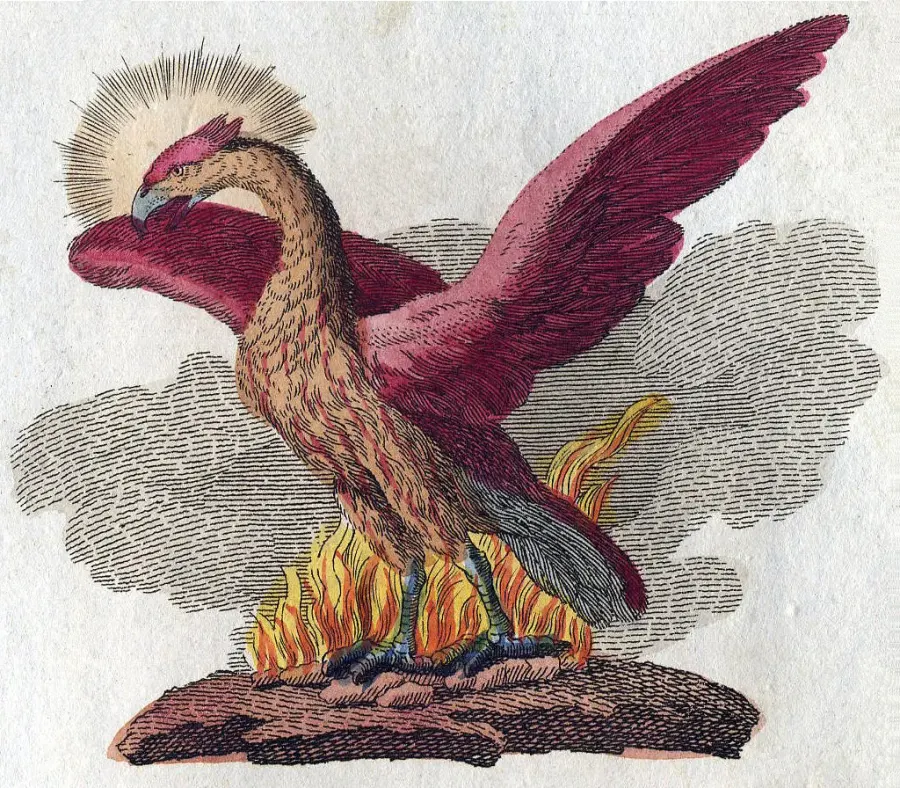 La carte Rubedo