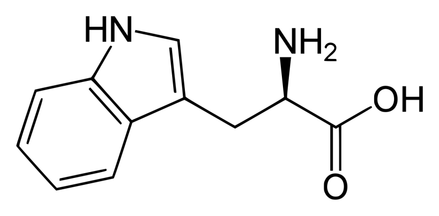 La carte Tryptophane