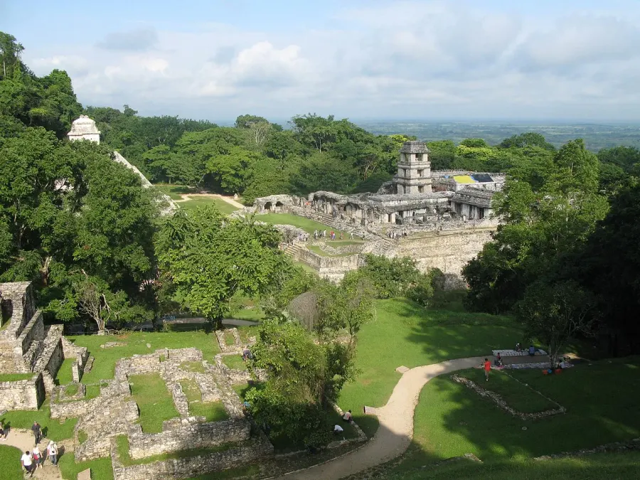 The Palenque card