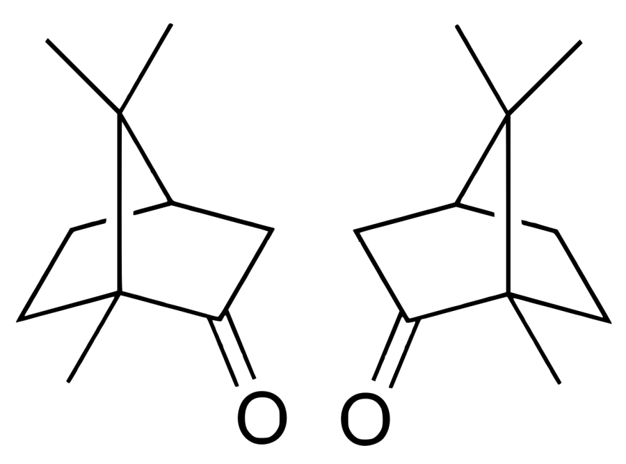 The Camphor card