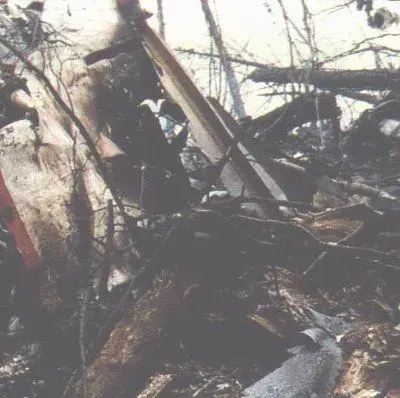 The Japan Air Lines Flight 123 card