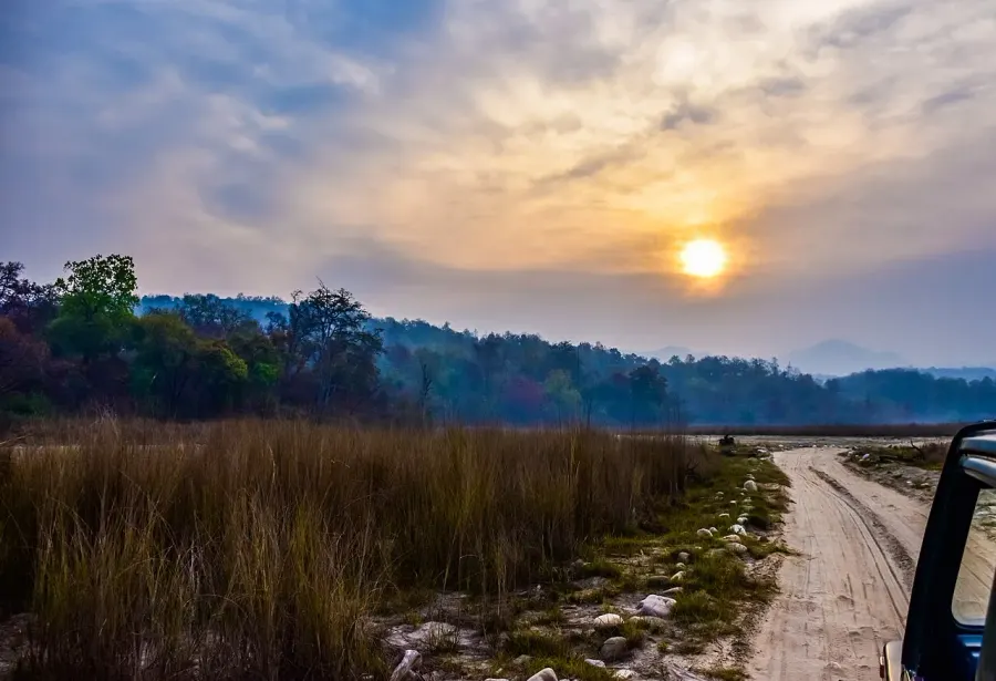 The Rajaji National Park card